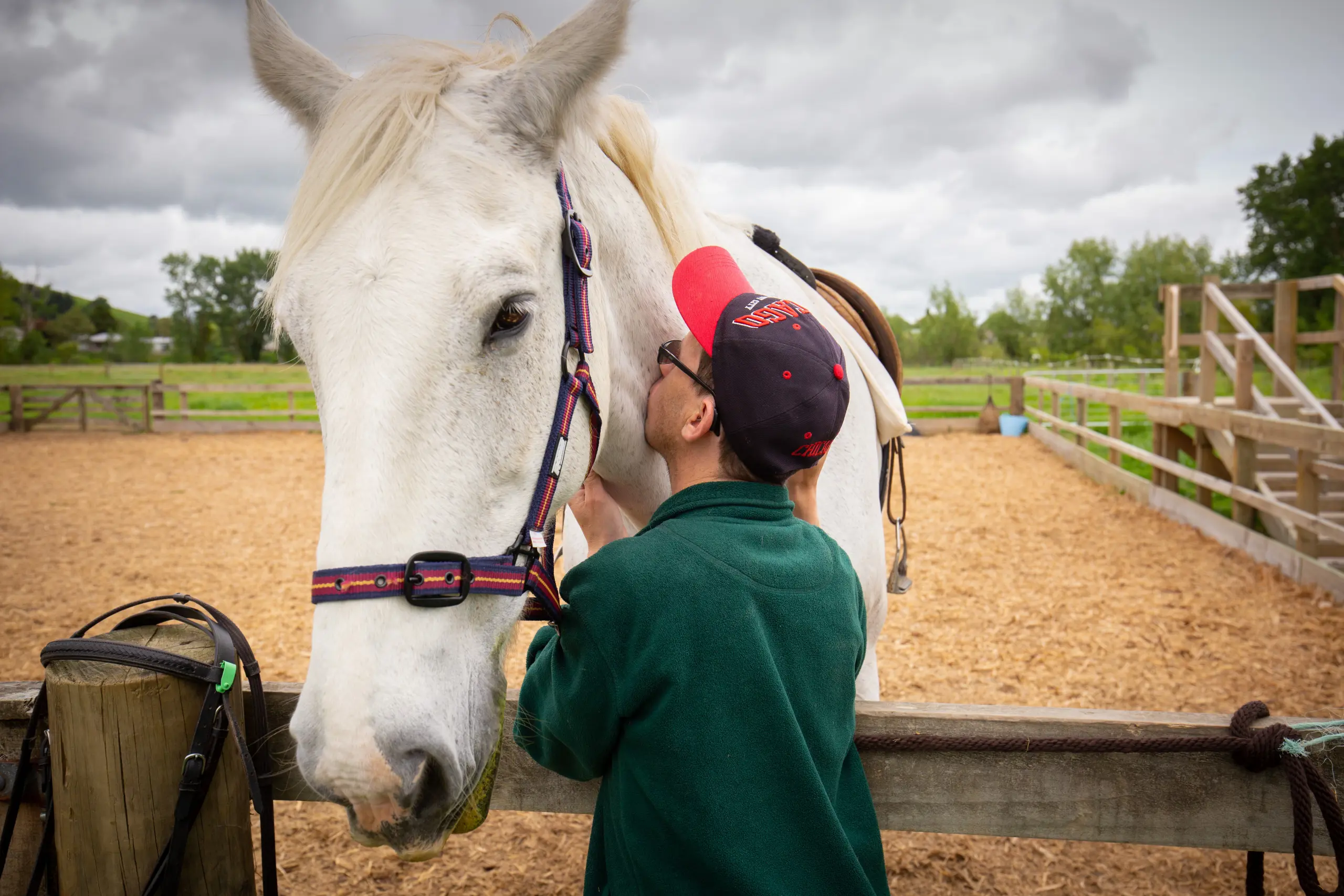 Lifestyler kissing horse