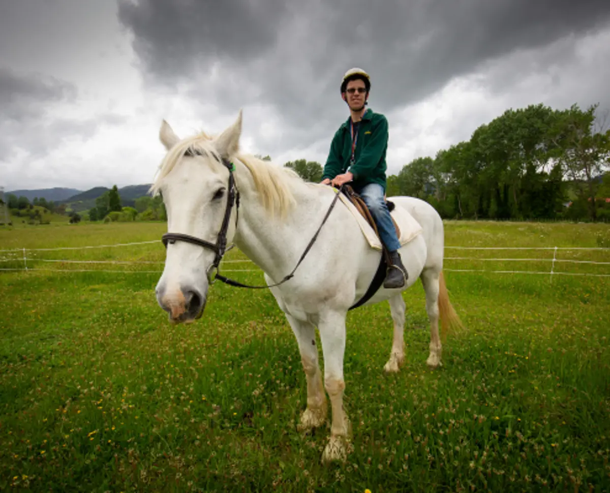 Lifestyler riding horse