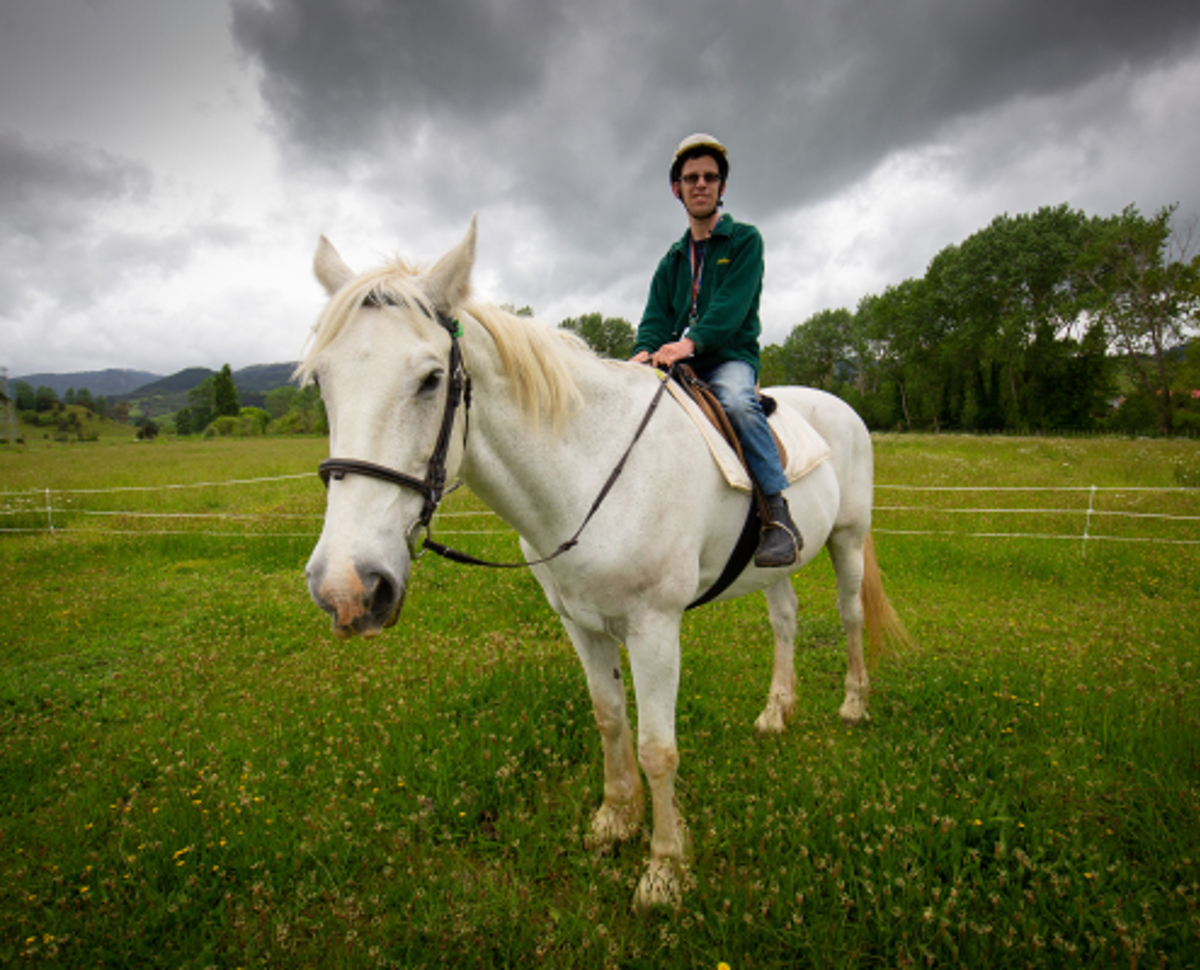 Lifestyler riding horse