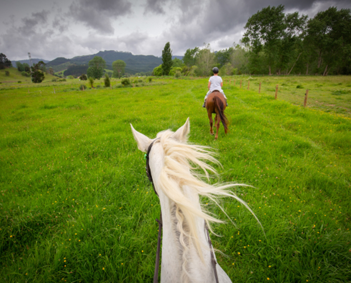 Horse riders chasing each other